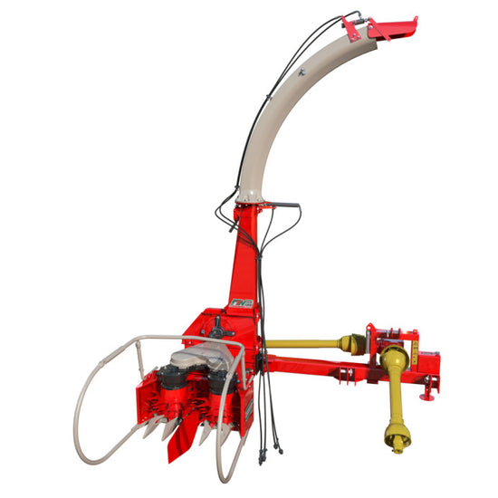 FTN 1000 Power (Nogueira)