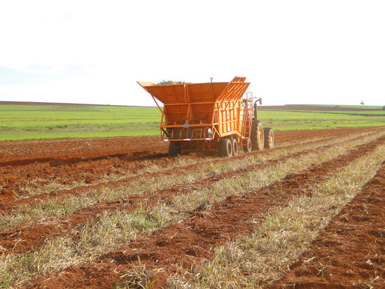 Plantadora de Cana Picada - PCP 6000 (DMB)